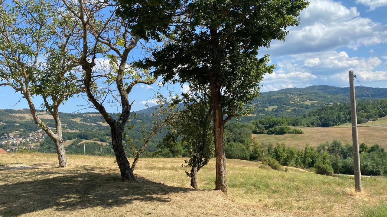Agriturismo Il Casone San Benedetto Val di Sambro 外观 照片