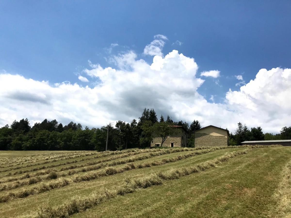 Agriturismo Il Casone San Benedetto Val di Sambro 外观 照片