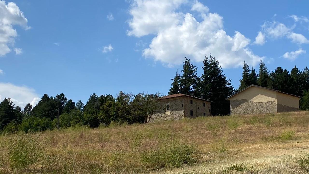 Agriturismo Il Casone San Benedetto Val di Sambro 外观 照片