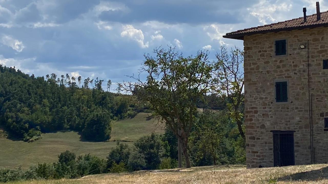 Agriturismo Il Casone San Benedetto Val di Sambro 外观 照片